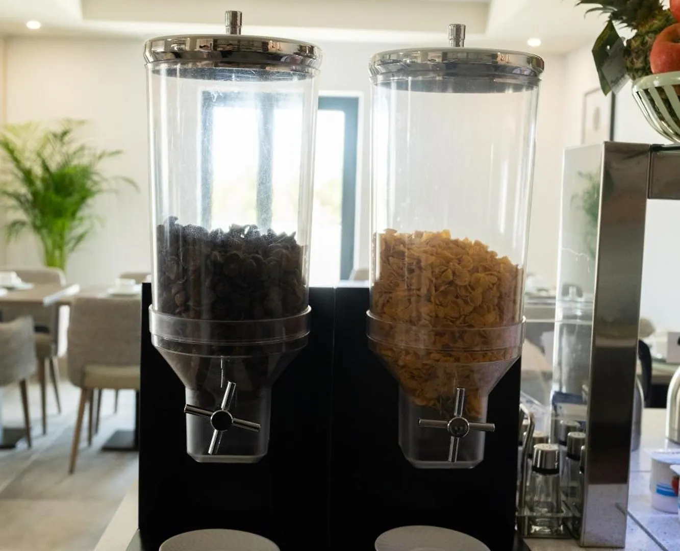 Ria Formosa Guest House Faro